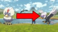 Rufflet has a base catch rate of 20% (Image via The Pokemon Company)